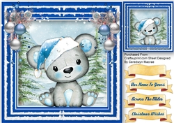 Bear in a Blue  Hat 