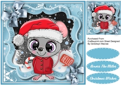 Cute Mouse in a Bracket Frame