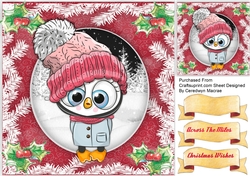 Owl in a Wooly Hat