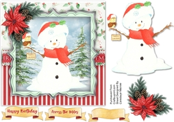 Snowman and Robin