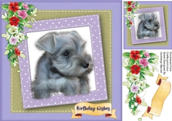 Beautiful Birthday Schnauzer