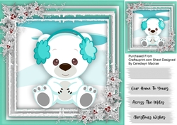Cute Little Pola Bear