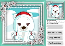 Pola Bears Christmas Hat