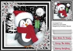 Penguin in a Wooly Scarf