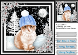 Kittys Bobble Hat