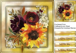 Beautiful Sunflower Blooms