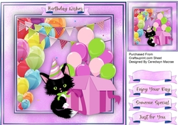 Lucky Black Birthday Cat 1