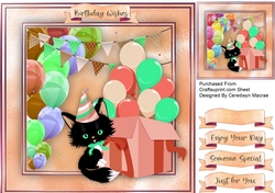 Lucky Black Birthday Cat 2
