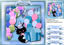 Lucky Black Birthday Cat 3