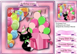 Lucky Black Birthday Cat 4