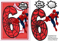 Spidermans 6th Birthday