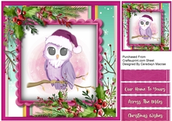 Cute Owl in a Santa Hat