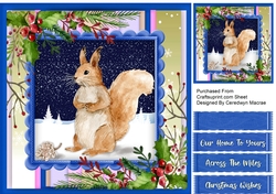 Squirrel in the Snow