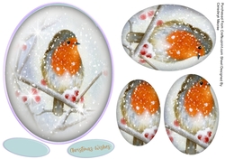 Lovely Robin on a Oval Pyramid Mat