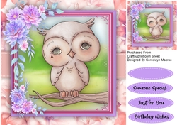 Gorgeou Owl in a Tree
