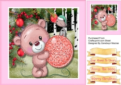 Teds Pink Ball