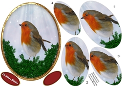 Beautiful Christmas Robin, Pyramid