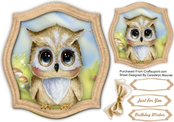 Big Eyed Owl