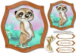 Proud Meercat Willie 