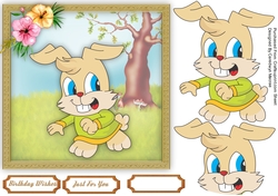 Rabbit in the Park