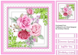 Beautiful Pink Sherbert Roses