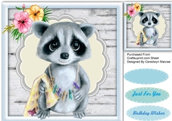 Gorgeous Raccoon