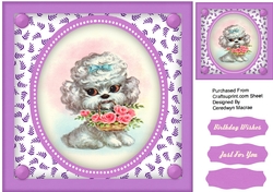 Beautiful Poodle with Basket