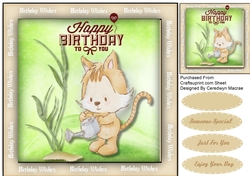 Kitty Cats Birthday Plant