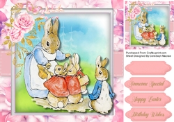 Shopping For Mrs Rabbit 