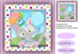 Cute Grey  Kitty Cat 