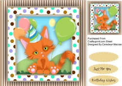 Ginger Tom  Kitty Cat 