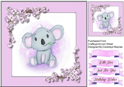 Beautiful Koala
