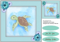 Beautiful Turtle 