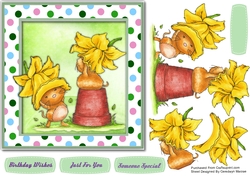 Daffodil Fun