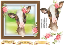 Beautiful Baby Calf