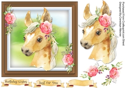 Beautiful Baby Foal