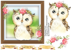 Beautiful Baby Owl