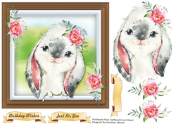 Beautiful Baby Rabbit