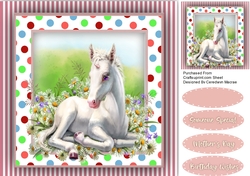 Beautiful White Foal