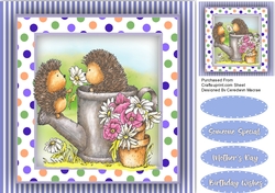Blooming Daisy Love