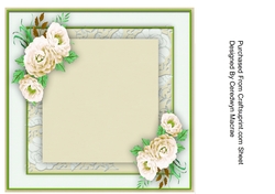 Blank Insert , Cream