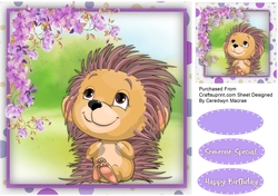 Hedgehogs Flowers