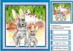 Beautiful Rabbits in the Wild 
