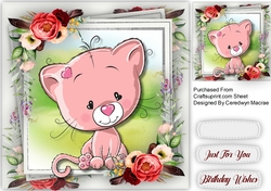 Beautiful Pink Kitty Cat