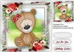 Lovely Brown Teddy
