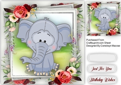 Lovely Grey Ellie