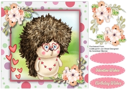 Hedgehogs Bad Hair Day