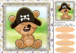 Pirate Ted