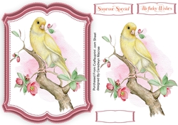 Beautiful Yellow Canary