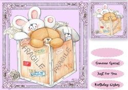 Box of Fluffy Teddies